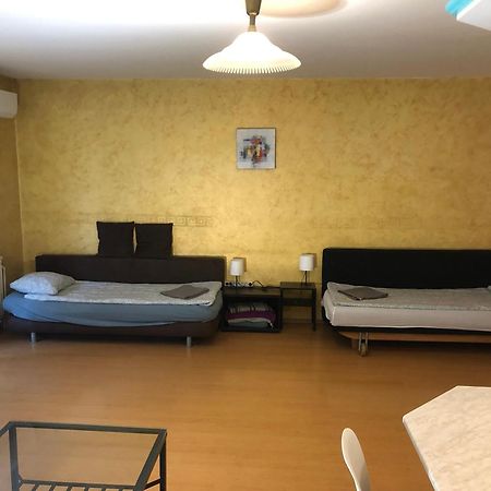 Large Apartment With Garage And Terrace Budapešť Exteriér fotografie